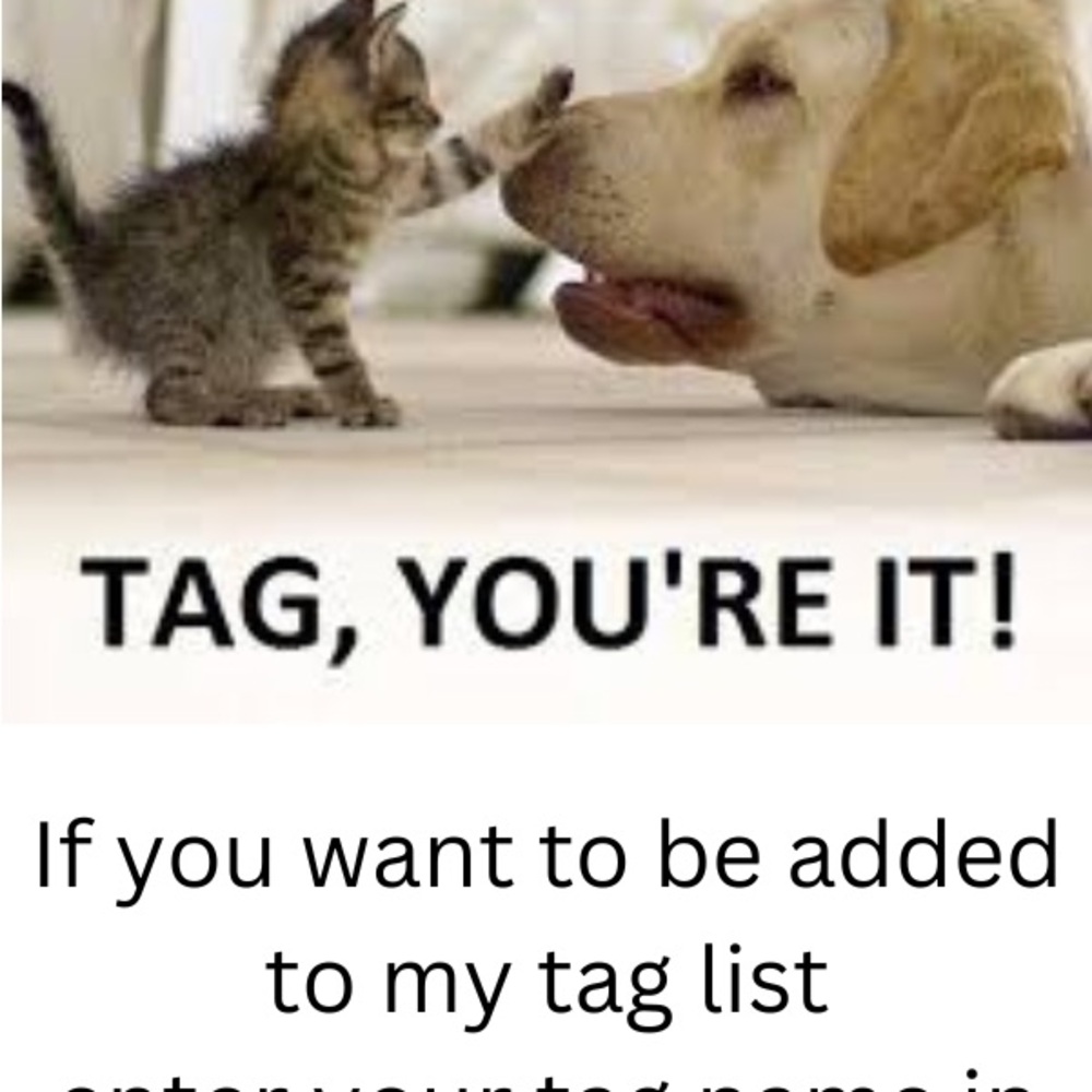 MY TAG LIST——LIVE LISTING